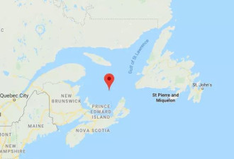 加拿大小岛火了！被国家地理列此生必去之地