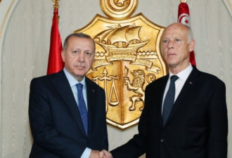 土耳其总统突访突尼斯 商讨利比亚停火