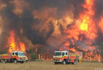 澳洲东南方森林大火肆虐 首相饱受抨击…