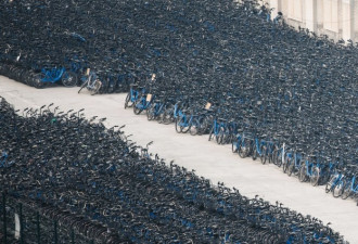 意外！中国共享单车墓地的谜之美感