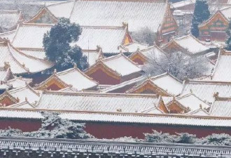 北京又下雪啦！雪地代写、堆雪人…都成了生意