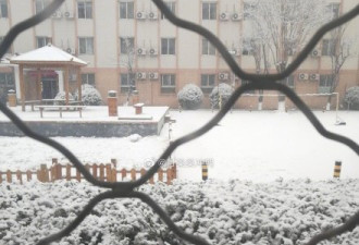 北京又下雪啦！雪地代写、堆雪人…都成了生意