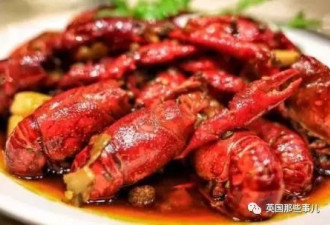 德国人终于领悟对抗小龙虾必杀技 可吃法捉急啊