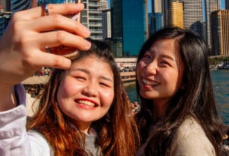 146万中国人赴澳洲旅游，中国大妈实力抢镜！