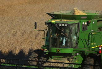 美农业部预测：中国反击没用 大豆出口会创纪录