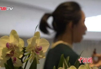吸烟、打电话、管孩子…可能涉嫌家暴
