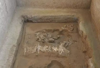 秦始皇陵园发现大型陪葬墓 珍贵