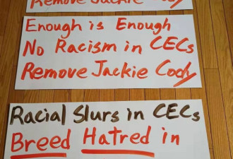 纽约学区委员邮件写“黄种人”带歧视 惹怒亚裔