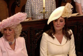 婚礼上凯特王妃给卡米拉个白眼，全民振奋