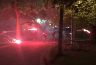 一群青少年市中心公园内互掷烟花致一人伤