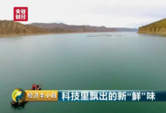 没想到！中国最大三文鱼养殖场竟在青藏高原
