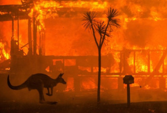 澳洲山火肆虐，过火面积相当于1.5个台湾