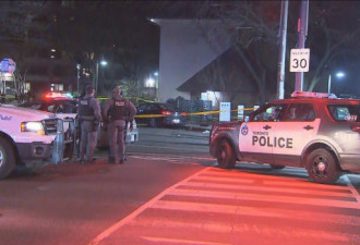 元旦夜多伦多市中心Regent Park社区枪击 两伤
