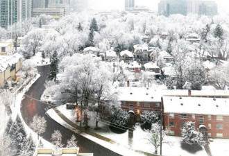 美爆了！多伦多经过一夜的飘雪，仿若仙境！