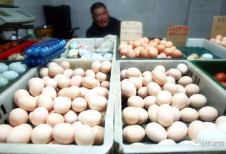 中国生产&quot;假鸡蛋&quot;&quot;塑料菜&quot;?外国人站出来喊冤！