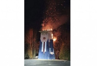 梅兰妮亚祖国境内，特朗普雕像遭蓄意纵火焚毁