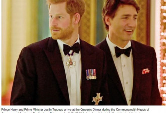 哈里王子要出任加拿大总督？60%国民先沸腾