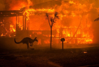 六个问题 了解澳大利亚火灾为何如此严重