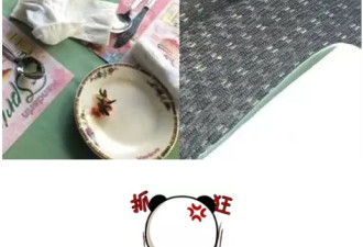 超恶心！自助餐厅Mandarin沙发缝中惊现死老鼠