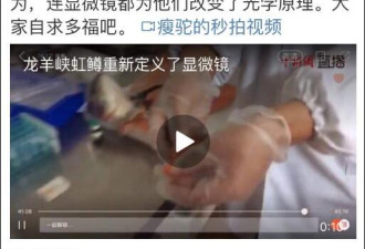 三文鱼养殖场演示检测寄生虫 显微镜操作亮了
