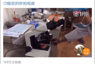 三文鱼养殖场演示检测寄生虫 显微镜操作亮了