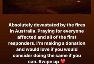 国际巨星号召粉丝为澳洲山火受害者捐款
