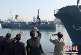 日本展开本年度“科研捕鲸”计划捕获百余条