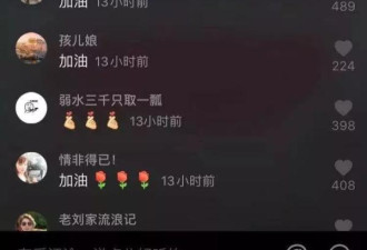 这位小姐姐火了，800万人点赞！