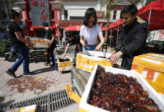 加拿大华裔夫妻回国创业 开小龙虾店月入30万