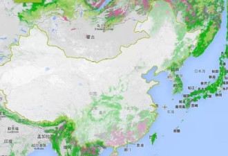 谷歌地图的森林监察系统 揭中国雾霾惊天秘密