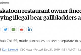 加拿大中餐馆卖熊掌 华人老板辩称英文不好