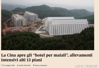 中国建13层养猪大厦 意大利戏精网民炸锅