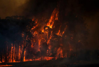 卫星拍摄澳洲大火：土地烧成“烙铁”烟雾蔓延