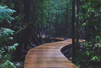 安省5km小径带你穿越密林享受唯美自然湖景