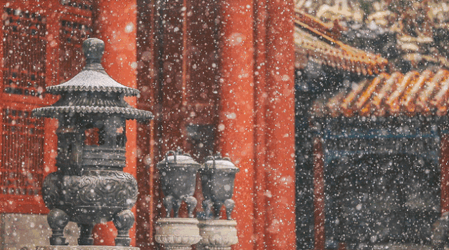 紫禁飞雪：北京又大雪 又在故宫的闭馆前夜…