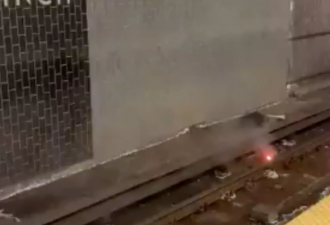 TTC轨道着火 部分地铁站停运