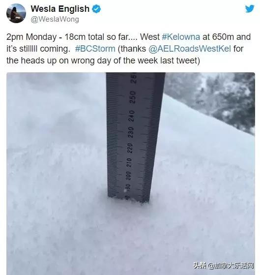 加拿大多地将迎接暴风雪天气！出行要避开这些路段