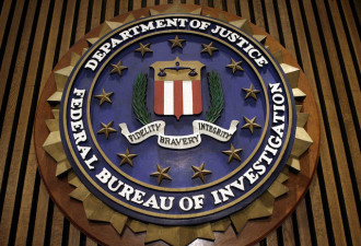 美国FBI：本想抓“叛徒”，结果揪出色情狂