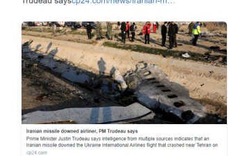 杜鲁多：失事客机遭伊朗一枚地对空导弹击落