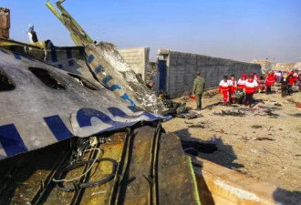 美国人士：乌克兰客机坠毁的真正原因在美国