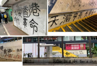 说普通话游香港 揭开“暴动”真相