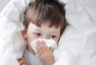 加拿大平均每年3000人死于流感 今年情况严重