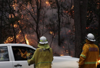 更多加拿大消防志愿者飞往澳大利亚协助灭火