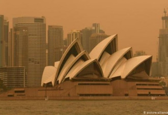 重度空气污染下的悉尼 你的焰火还不够多吗？