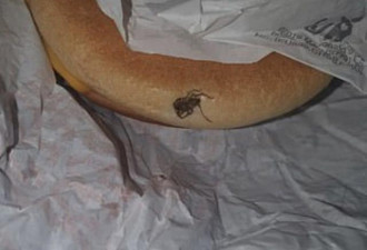 英国女子在麦当劳汉堡里发现一只蜘蛛