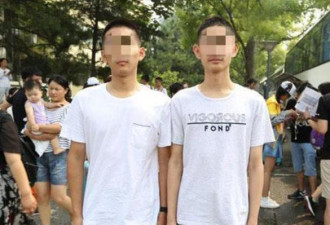 双胞胎兄弟,1个放中国,1个在外国,18年后如何?
