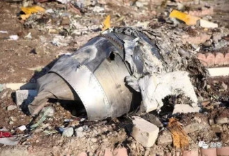 乌克兰坠毁客机机长遗孀讲述空难前凶兆