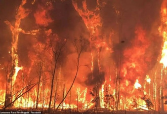 肆虐山火竟是地球环境的病危通知书？