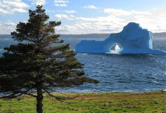震撼！纽芬兰绝美冰山照在社交网络亮瞎眼
