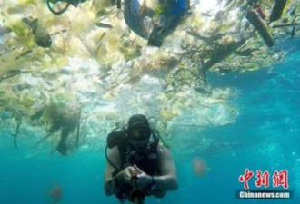 欧盟遏制海洋污染拟禁用塑料吸管等制品